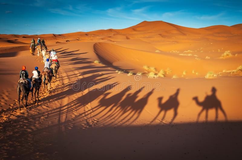 guided-camel-tours-sahara-desert-dubai-united-arab-emirates-oman-bahrain-merzouga-morocco-tunisia-adventure-camel-riding-167678606.jpg